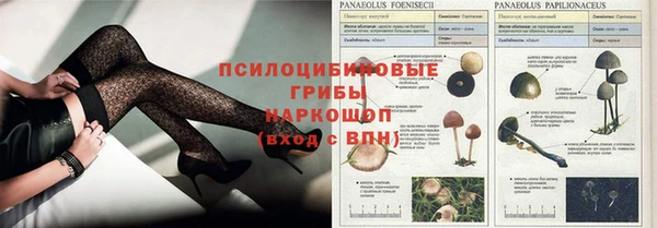 шишки Болхов