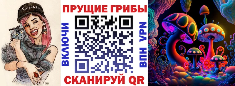 Псилоцибиновые грибы мицелий  магазин продажи   Жуковский 