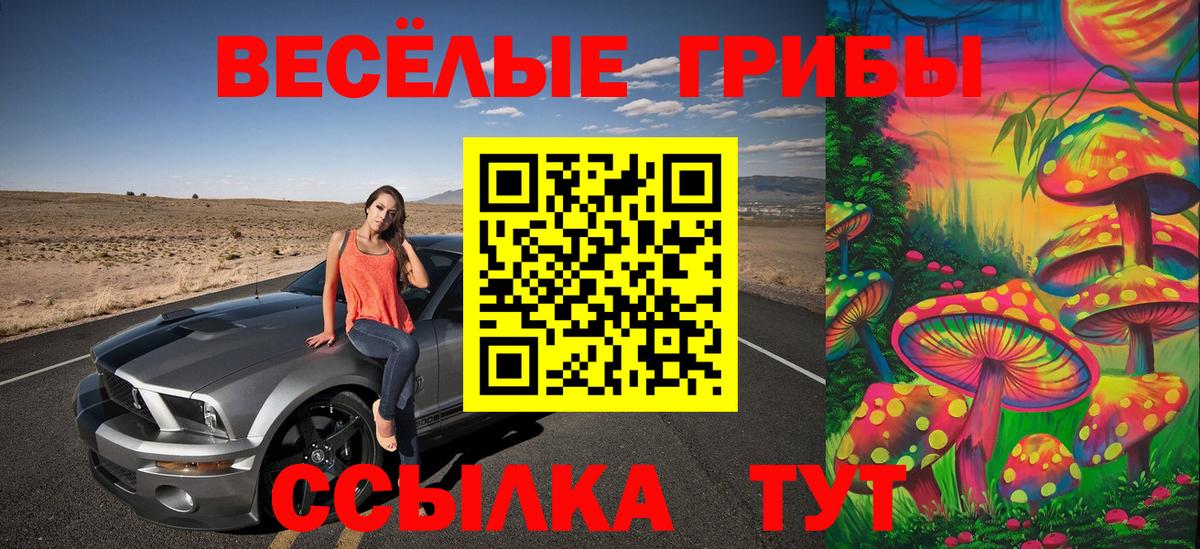 Жуковский  Псилоцибиновые грибы ЛСД  Вход с VPN 